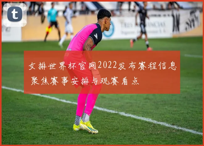 女排世界杯官网2022发布赛程信息 聚焦赛事安排与观赛看点